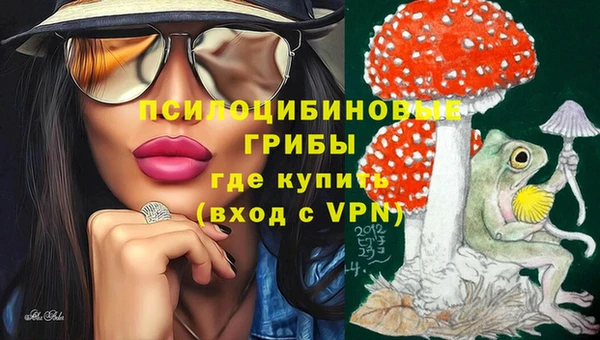 mix Горнозаводск