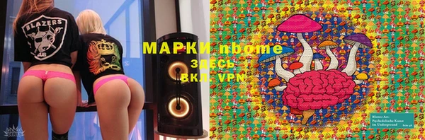 ГАЛЛЮЦИНОГЕННЫЕ ГРИБЫ Горно-Алтайск