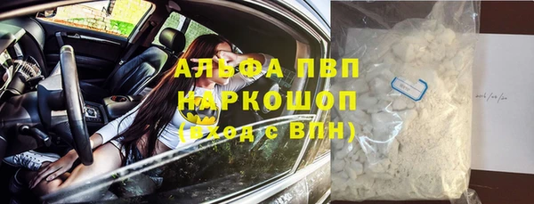 ГАЛЛЮЦИНОГЕННЫЕ ГРИБЫ Горно-Алтайск