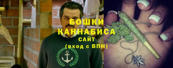 ГАЛЛЮЦИНОГЕННЫЕ ГРИБЫ Горно-Алтайск