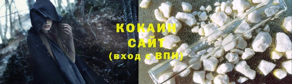 ГАЛЛЮЦИНОГЕННЫЕ ГРИБЫ Горно-Алтайск