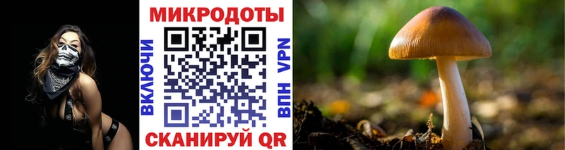 Галлюциногенные грибы Psilocybe  ОМГ ОМГ вход  Пущино 